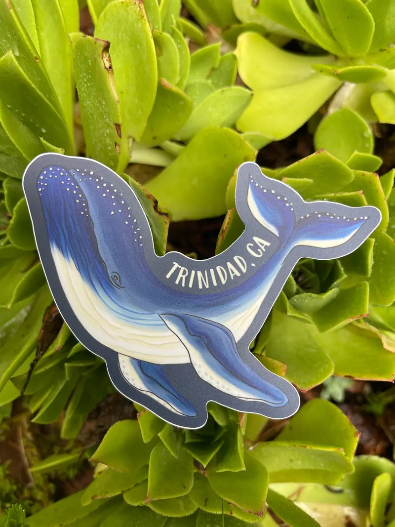 Trinidad California Whale Silhouette Vinyl Sticker 1