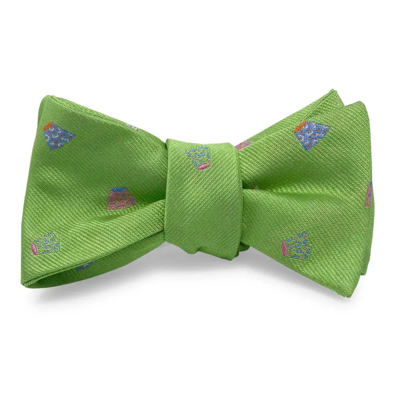 Trunks Green Bow Design 1