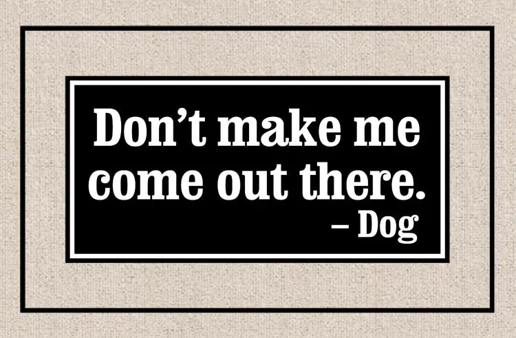 Witty 'Don’T Make Me Come Out' Humor Doormat 1