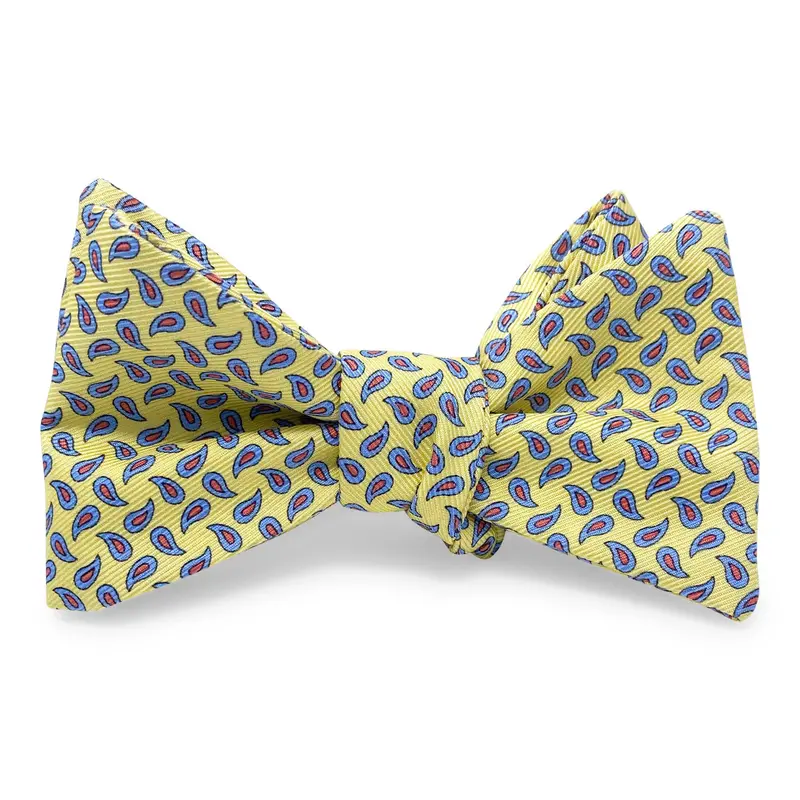 Yellow And Blue Bow Hair Accessory – New Pine Series 1