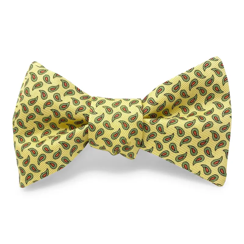 Yellow And Green Bow Hair Accessory – New Pine Collection 1