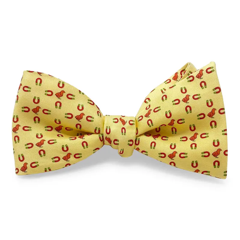 Yellow Chick Magnet Bow Tie For Men 1